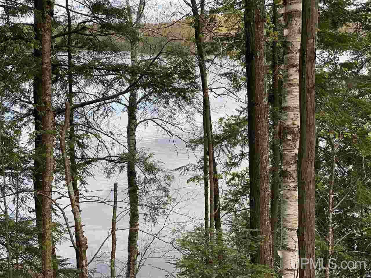 On On Chaney Cove Road, Unit LOT 1 Bessemer, MI 49911 - Photo 5 of 28