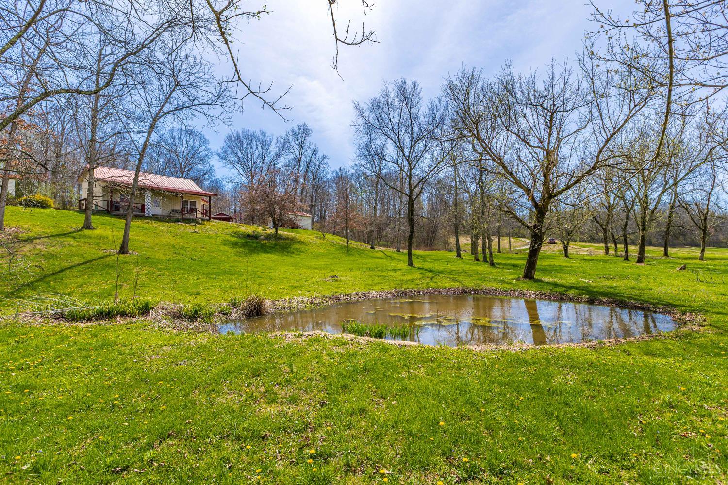 619 Seaman Road Peebles, OH 45660 - Photo 4 of 36