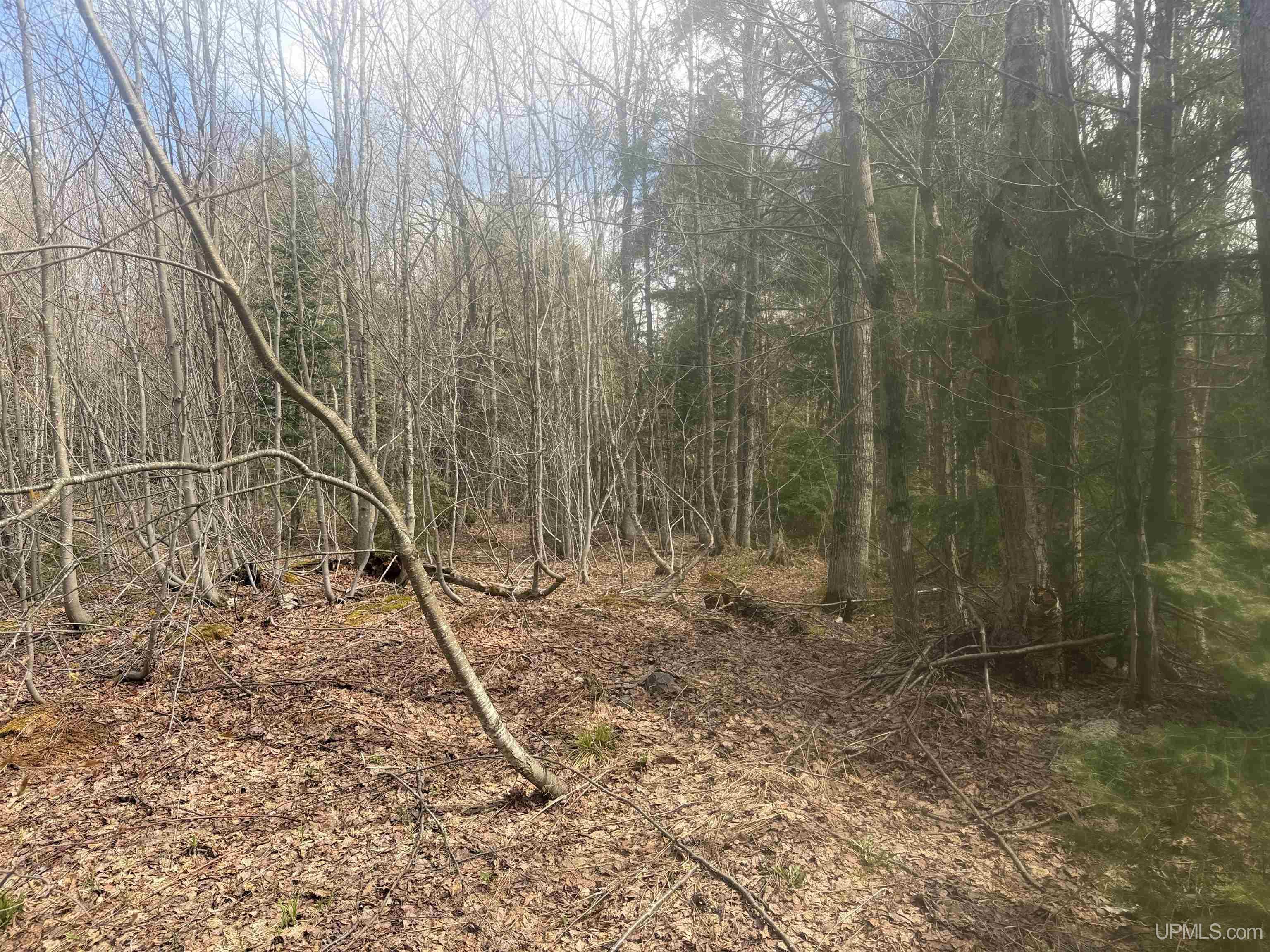 Off Black River Road Ironwood, MI 49938 - Photo 11 of 31