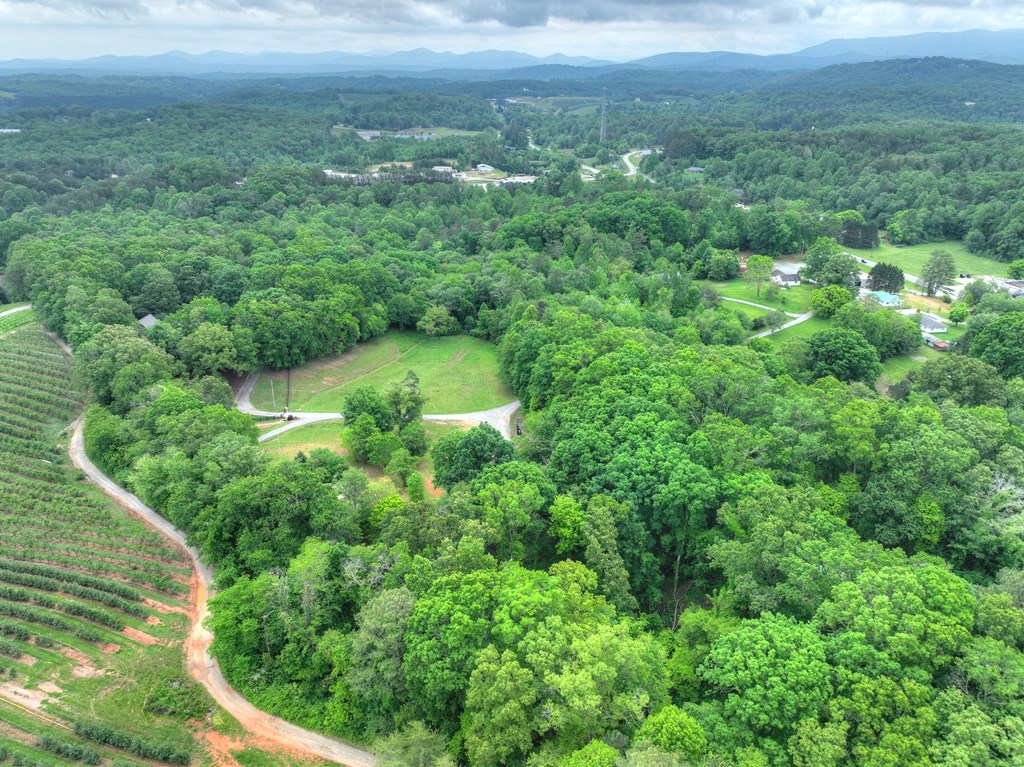 270 Stone Lane Blue Ridge, GA 30513 - Photo 12 of 70 a view of a lush green forest with lots of trees