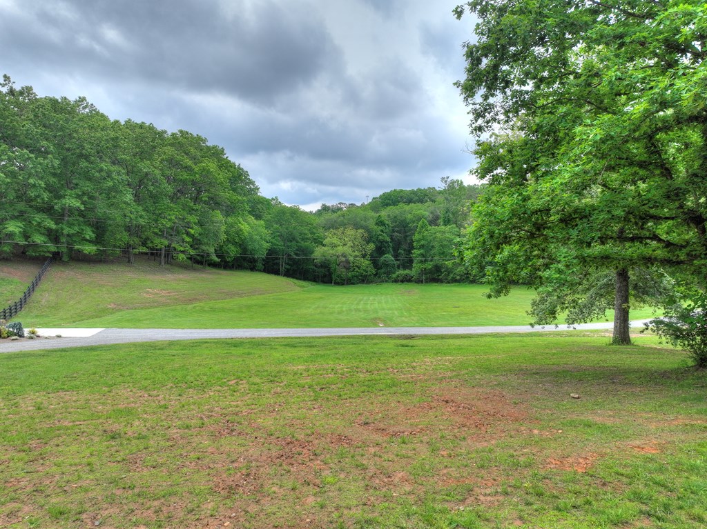 270 Stone Lane Blue Ridge, GA 30513 - Photo 13 of 70 a view of a golf course with a lake