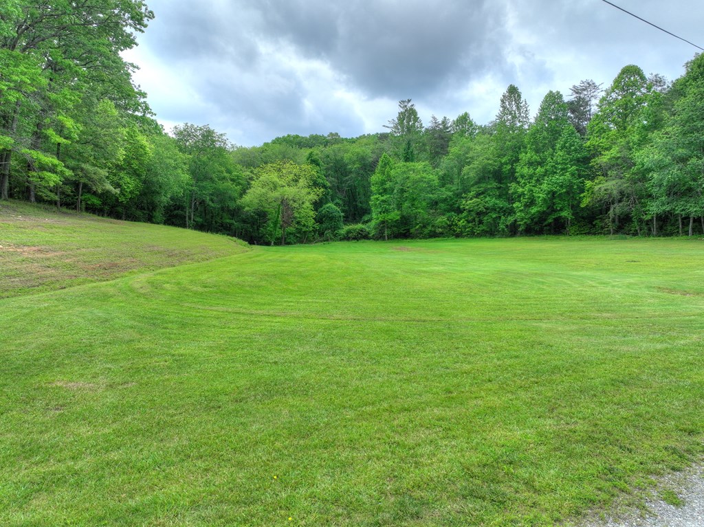 270 Stone Lane Blue Ridge, GA 30513 - Photo 14 of 70 a view of field with trees in the background