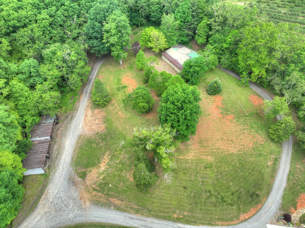 270 Stone Lane Blue Ridge, GA 30513 - Photo 15 of 70 a view of a garden