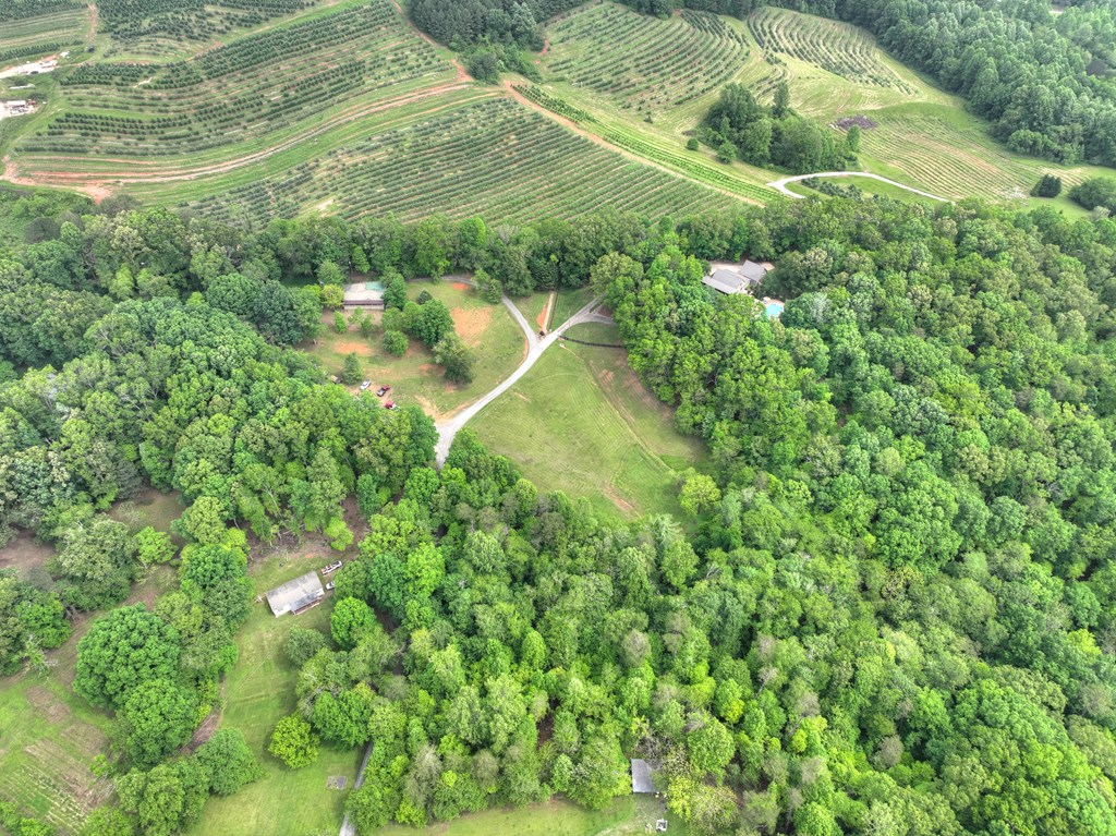 270 Stone Lane Blue Ridge, GA 30513 - Photo 17 of 70