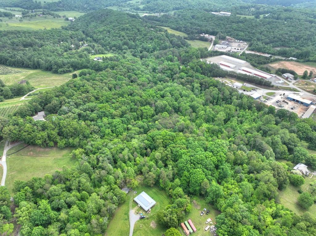 270 Stone Lane Blue Ridge, GA 30513 - Photo 18 of 70 a view of a garden with a lake