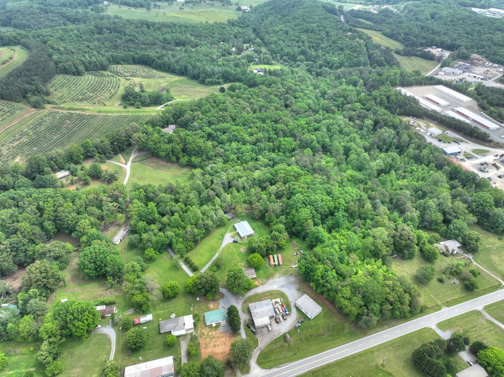 270 Stone Lane Blue Ridge, GA 30513 - Photo 19 of 70 a view of a yard with plants