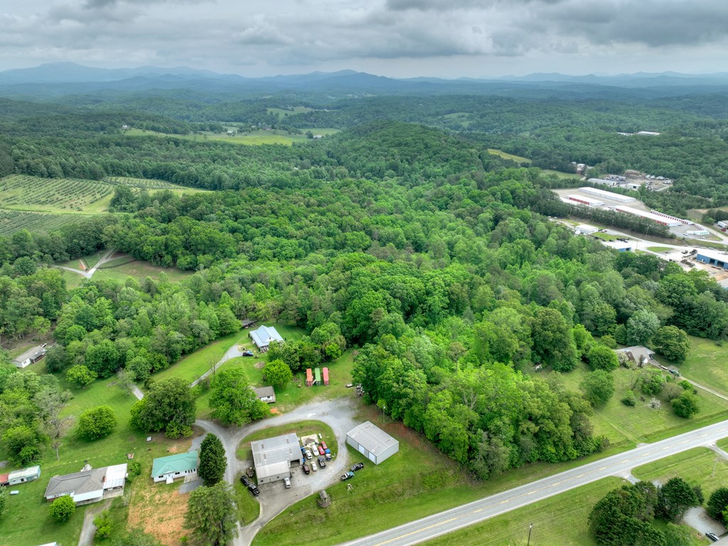 270 Stone Lane Blue Ridge, GA 30513 - Photo 21 of 70 a view of a garden with an outdoor space