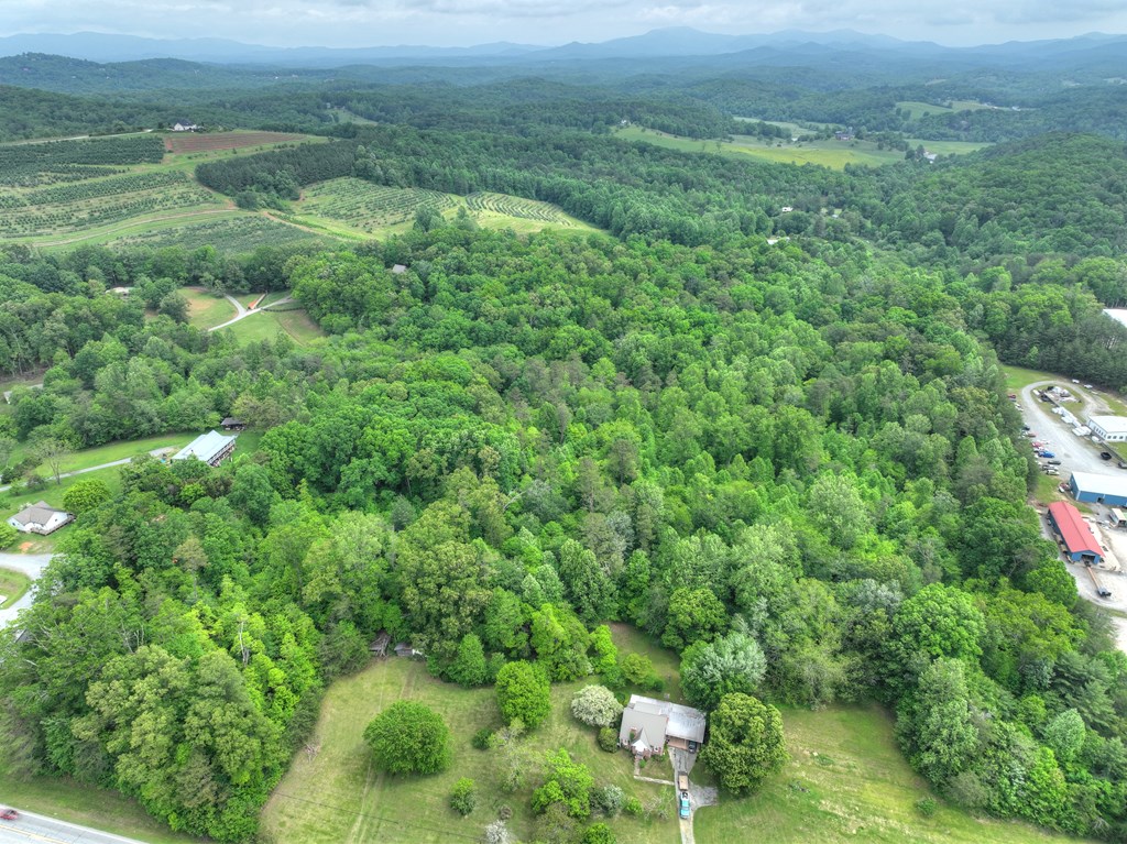 270 Stone Lane Blue Ridge, GA 30513 - Photo 22 of 70