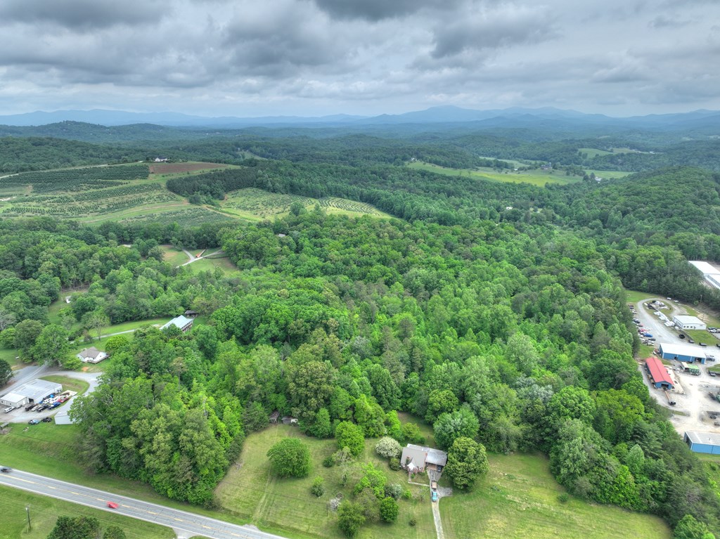 270 Stone Lane Blue Ridge, GA 30513 - Photo 23 of 70 a view of a bunch of trees and bushes