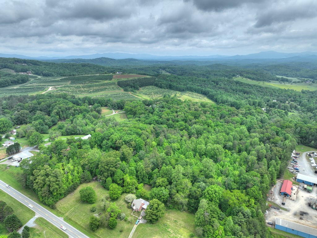 270 Stone Lane Blue Ridge, GA 30513 - Photo 24 of 70 a view of a garden with a pathway