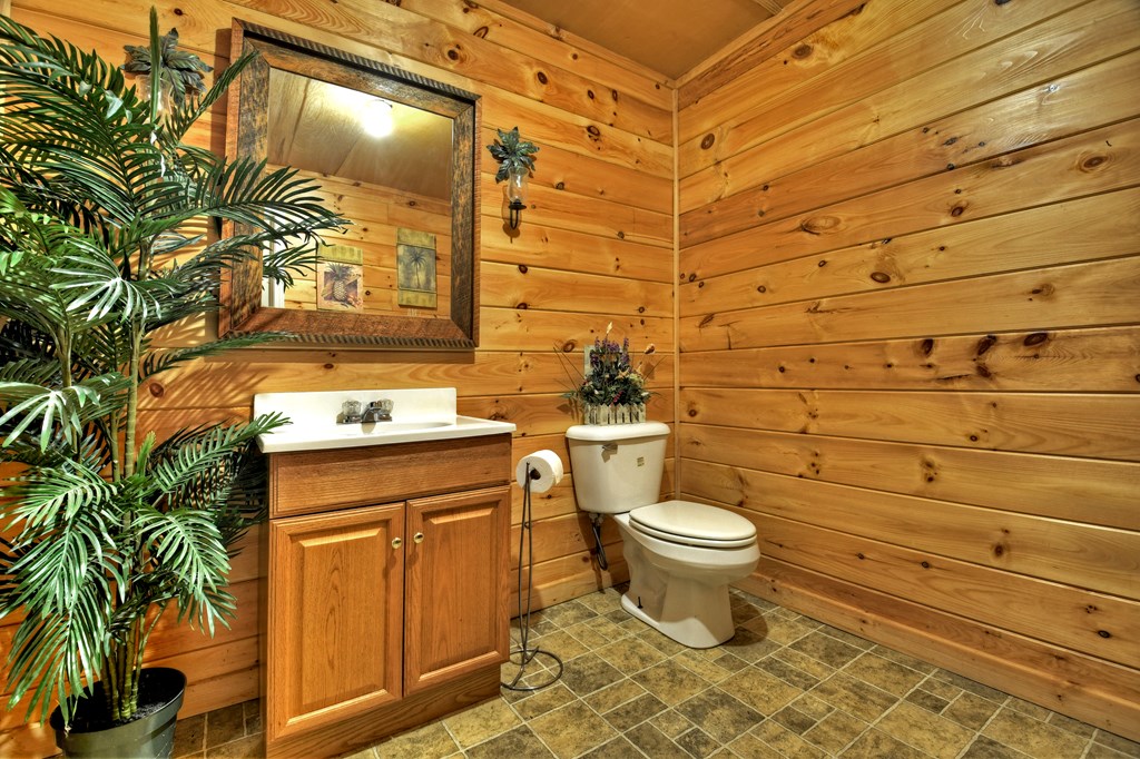 270 Stone Lane Blue Ridge, GA 30513 - Photo 39 of 70 a bathroom with a toilet and a sink