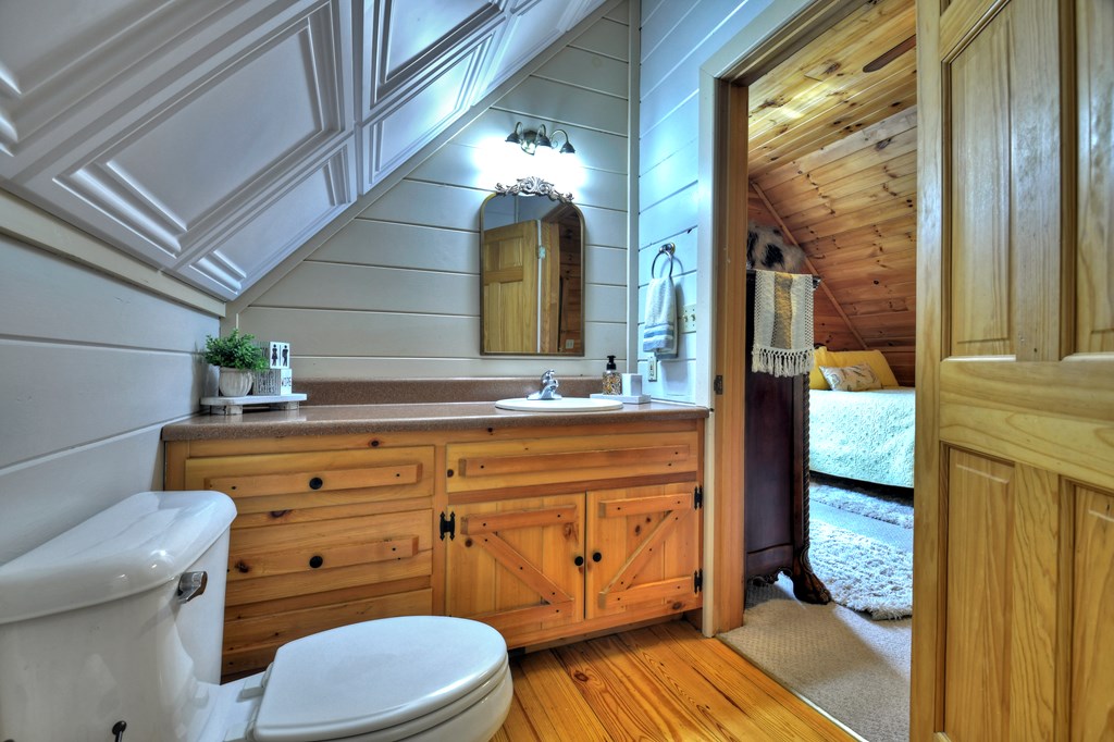 270 Stone Lane Blue Ridge, GA 30513 - Photo 42 of 70 a bathroom with a granite countertop toilet sink and mirror