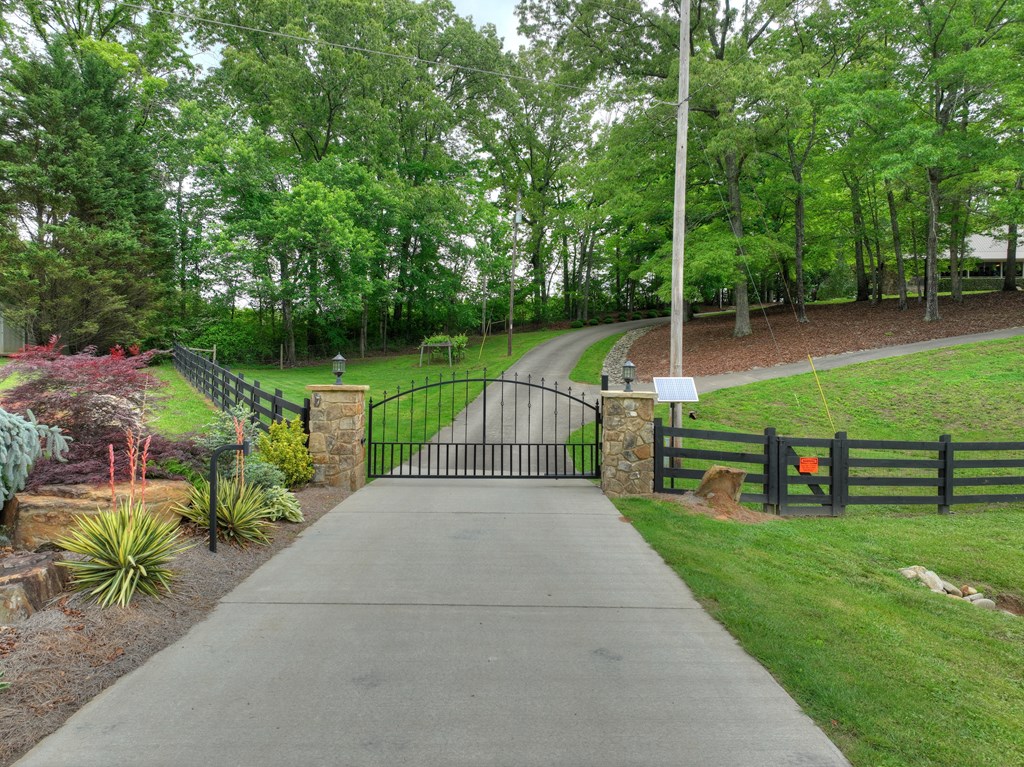 270 Stone Lane Blue Ridge, GA 30513 - Photo 9 of 70 a view of a park with large trees