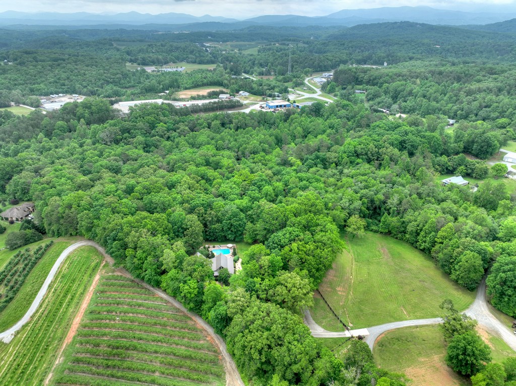 270 Stone Lane Blue Ridge, GA 30513 - Photo 10 of 70 an aerial view of residential houses with outdoor space and trees