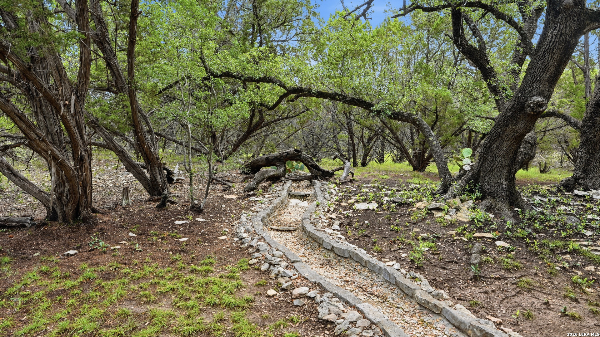 885 Heimer Lange Road Spring Branch, TX 78070 - Photo 4 of 50