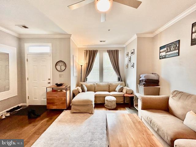 1933 4th Street Northwest Washington, DC 20001 - Photo 2 of 28
