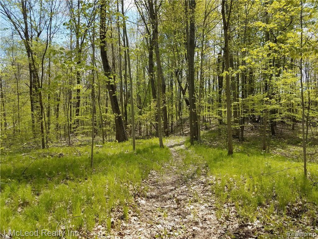 Vl Washburn Road Vassar, MI 48768 - Photo 14 of 37