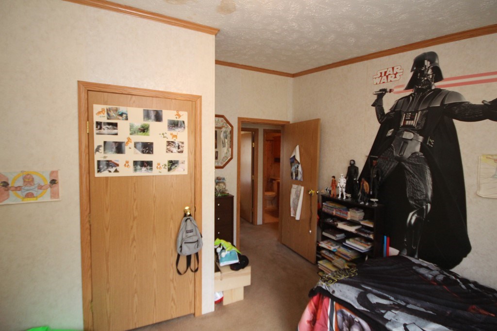 5125 East Valley Road Mount Pleasant, MI 48858 - Photo 10 of 19 1821253-9.JPG
