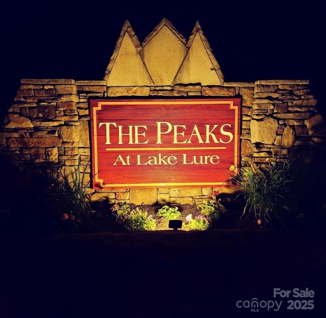 301 Peaks Drive Lake Lure, NC 28746 - Photo 43 of 48