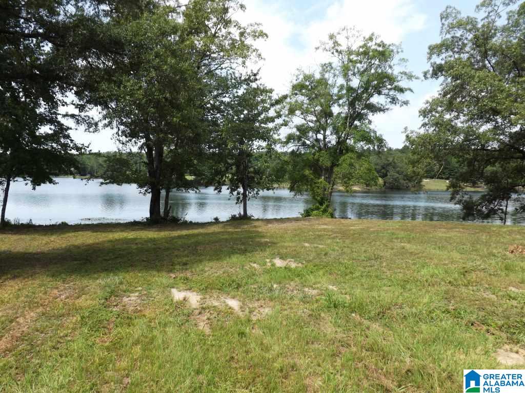 184 Cedar Springs Road West Blocton, AL 35184 - Photo 19 of 20