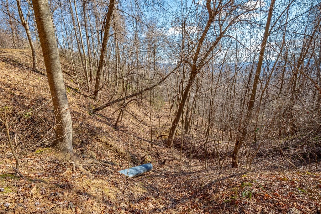 Lot 124 Spring Pond Trail, Unit 124 Fancy Gap, VA 24328 - Photo 6 of 51 Gallery Image 6