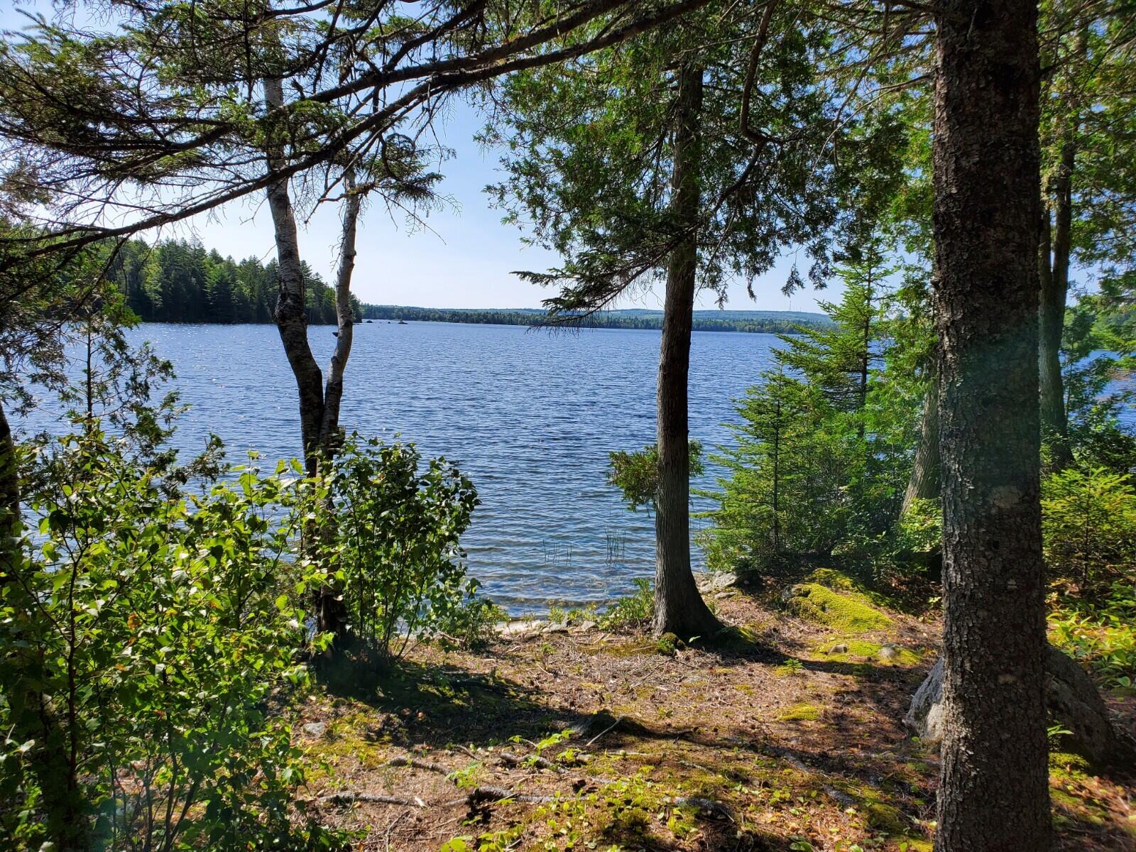 Lot 8 East Ridge Road Cooper, ME 04657 - Photo 7 of 14 20210816_143556