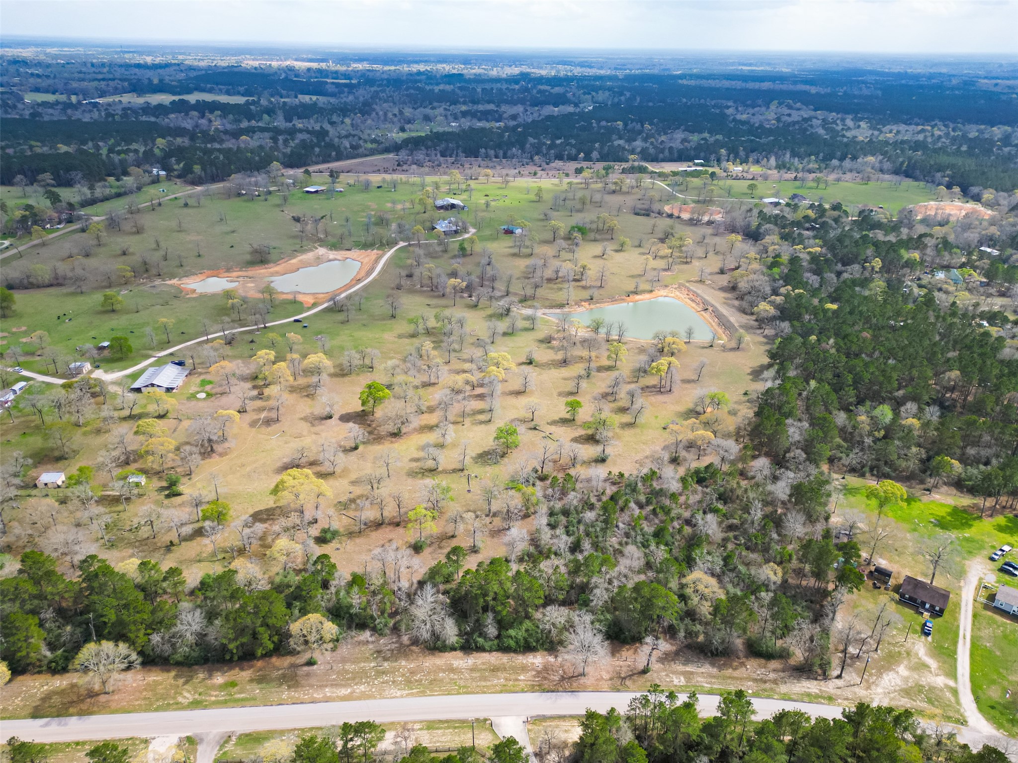 0 Clint Parker Road Conroe, TX 77303 - Photo 13 of 29