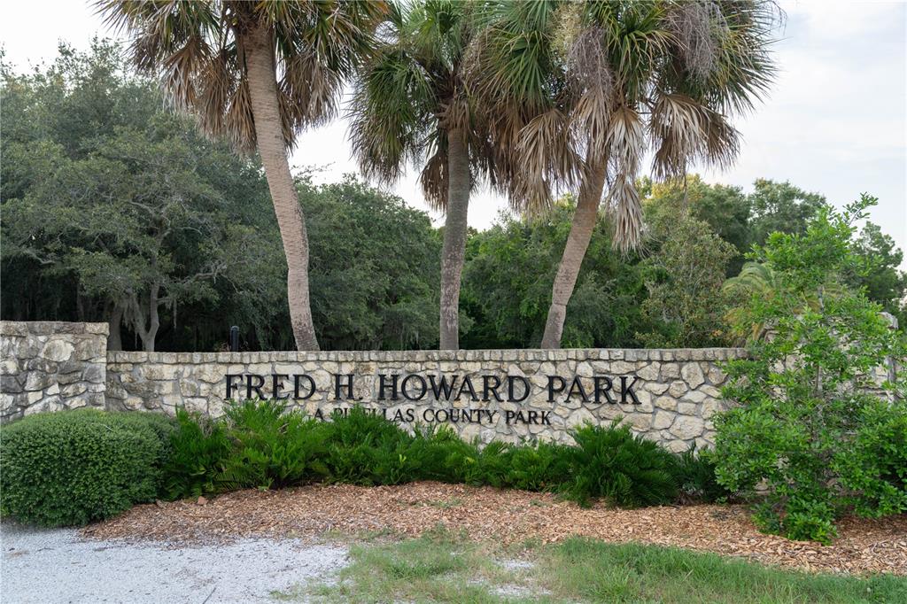 1312 Gulf Road Tarpon Springs, FL 34689 - Photo 49 of 53