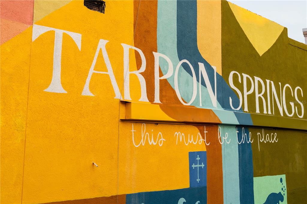 1312 Gulf Road Tarpon Springs, FL 34689 - Photo 52 of 53