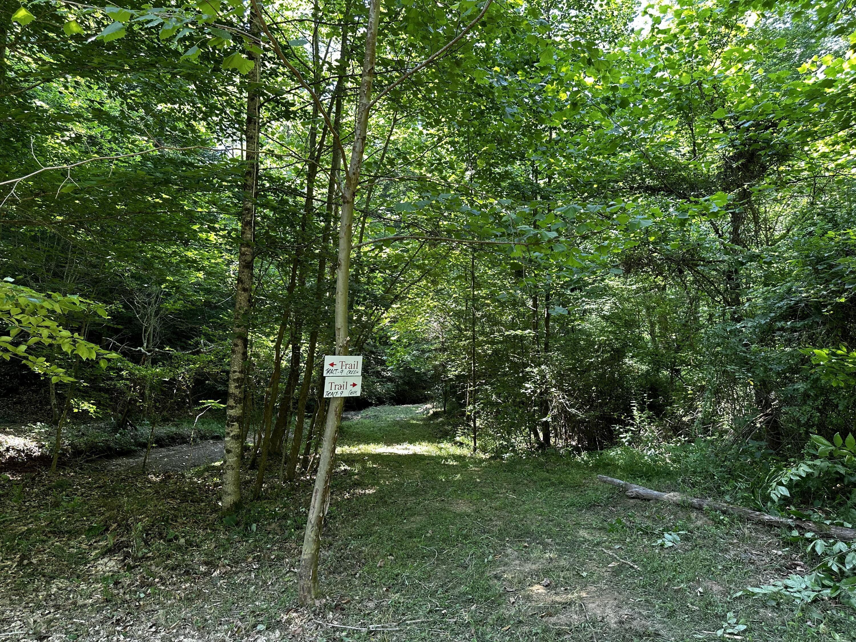 1101 Hull Road, Unit TRACT 9 WOODS WAYNE FOREST) Patriot, OH 45658 - Photo 31 of 61 20240621_150307539_iOS