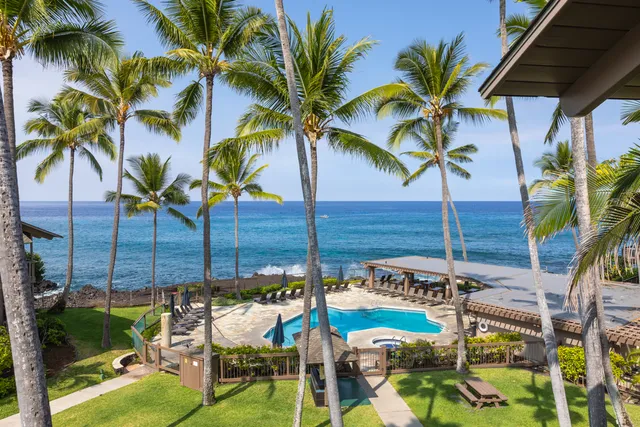 a view of a palm tree with dinning table and chairs