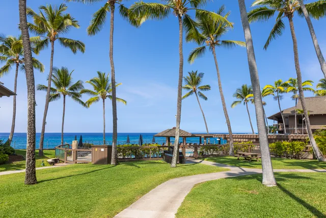 a view of a tennis court