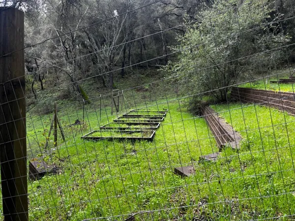 a view of a garden with a bench