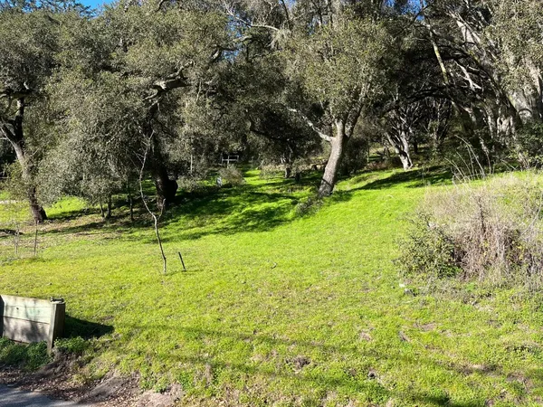 a view of yard with green space