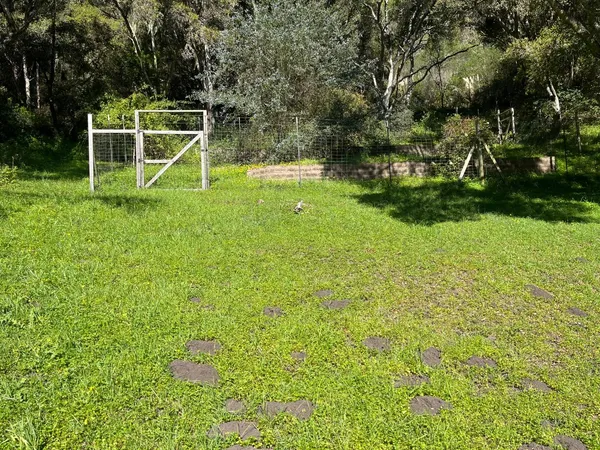 a view of outdoor space and green space