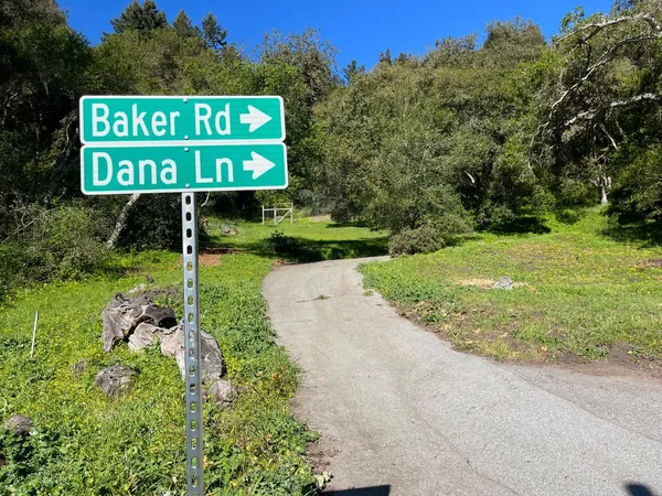 a big yard with lots of green space and plants