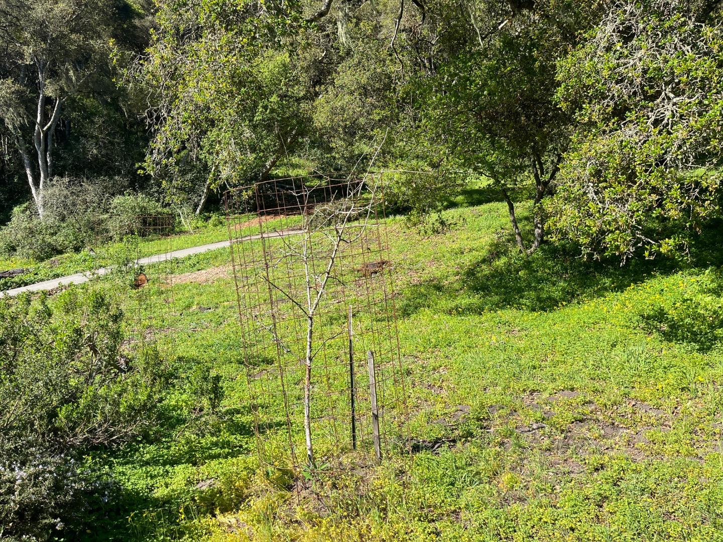 0 Baker Road Aptos, CA 95003 - Photo 20 of 29 a view of yard with green space