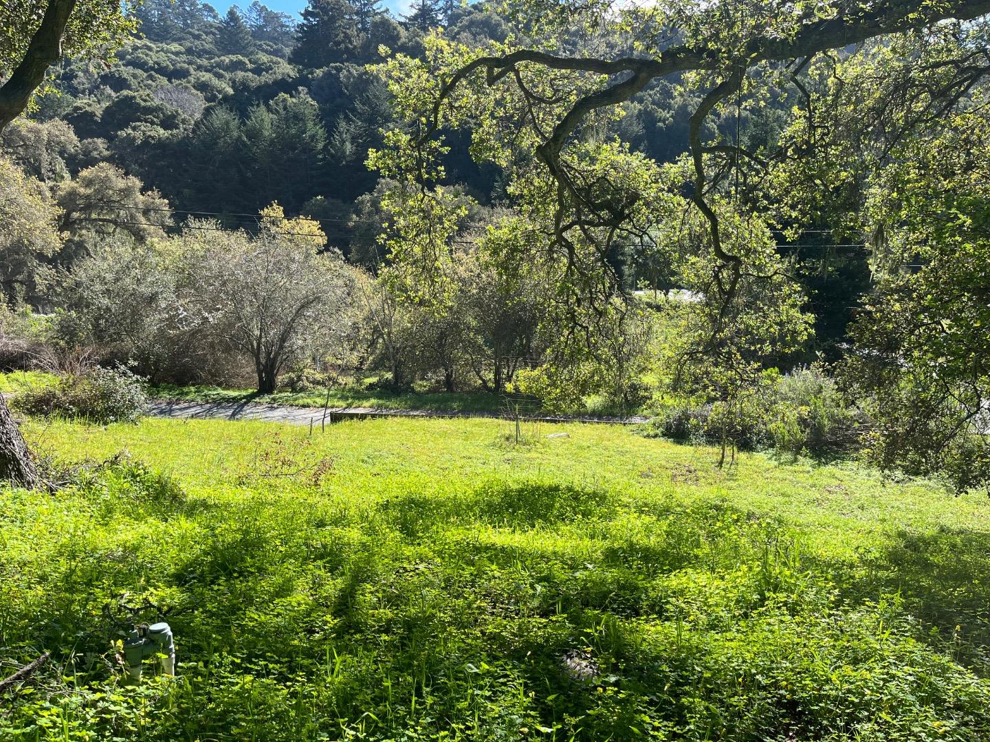 0 Baker Road Aptos, CA 95003 - Photo 26 of 29 a view of yard with green space