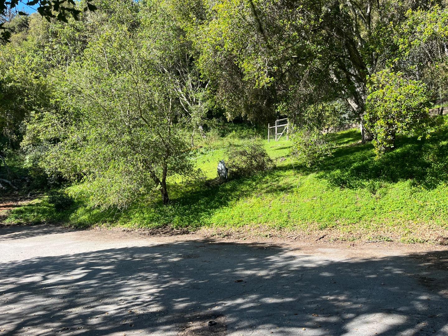 0 Baker Road Aptos, CA 95003 - Photo 27 of 29 a big yard with lots of green space and plants