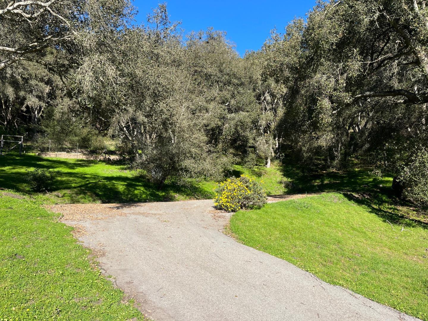 0 Baker Road Aptos, CA 95003 - Photo 8 of 29 a view of a garden with pathway