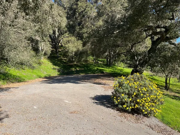 a backyard of a house with lots of green space