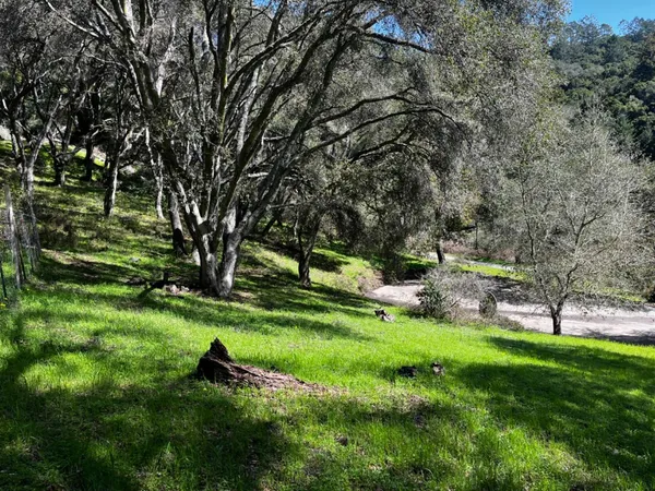 a view of a backyard with swimming pool