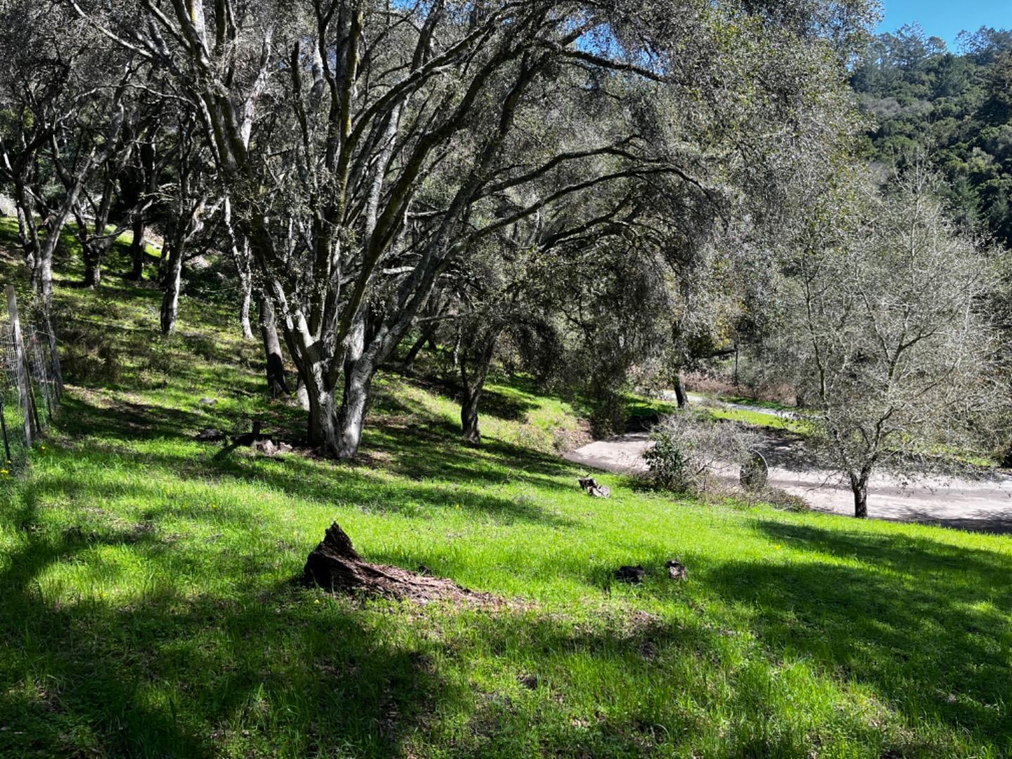 0 Baker Road Aptos, CA 95003 - Photo 10 of 29 a view of a park with large trees