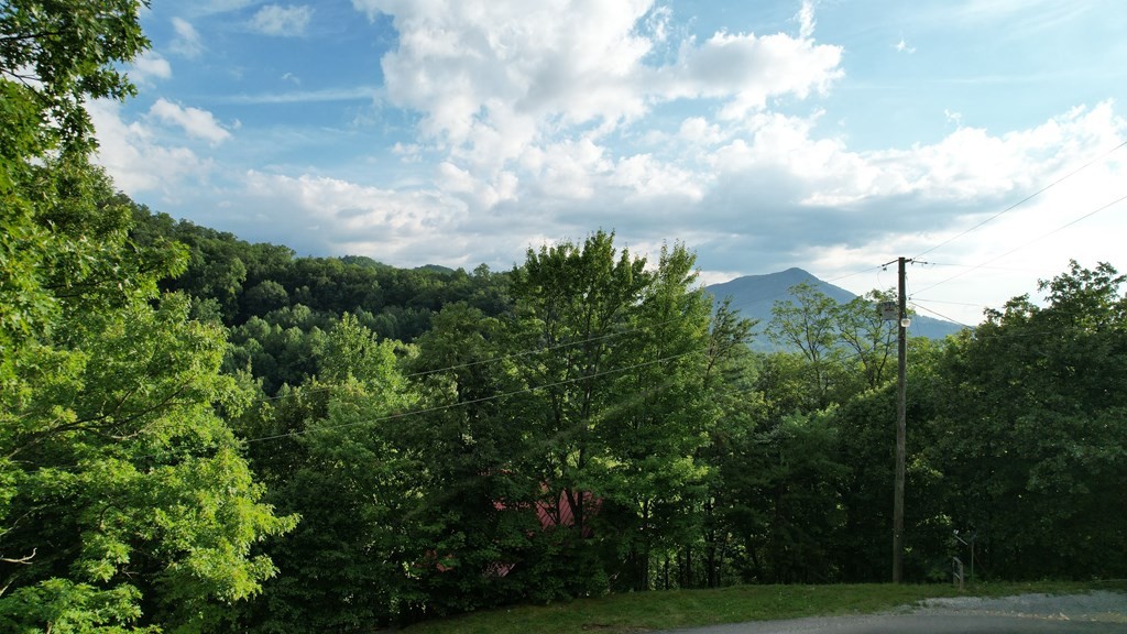 0 Trapper John Way Sevierville, TN 37862 - Photo 13 of 18
