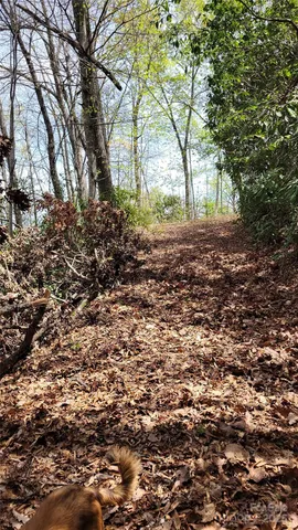 $68,000 | 27 Lacy Fern Ridge, Unit 27, Sylva, NC 28779