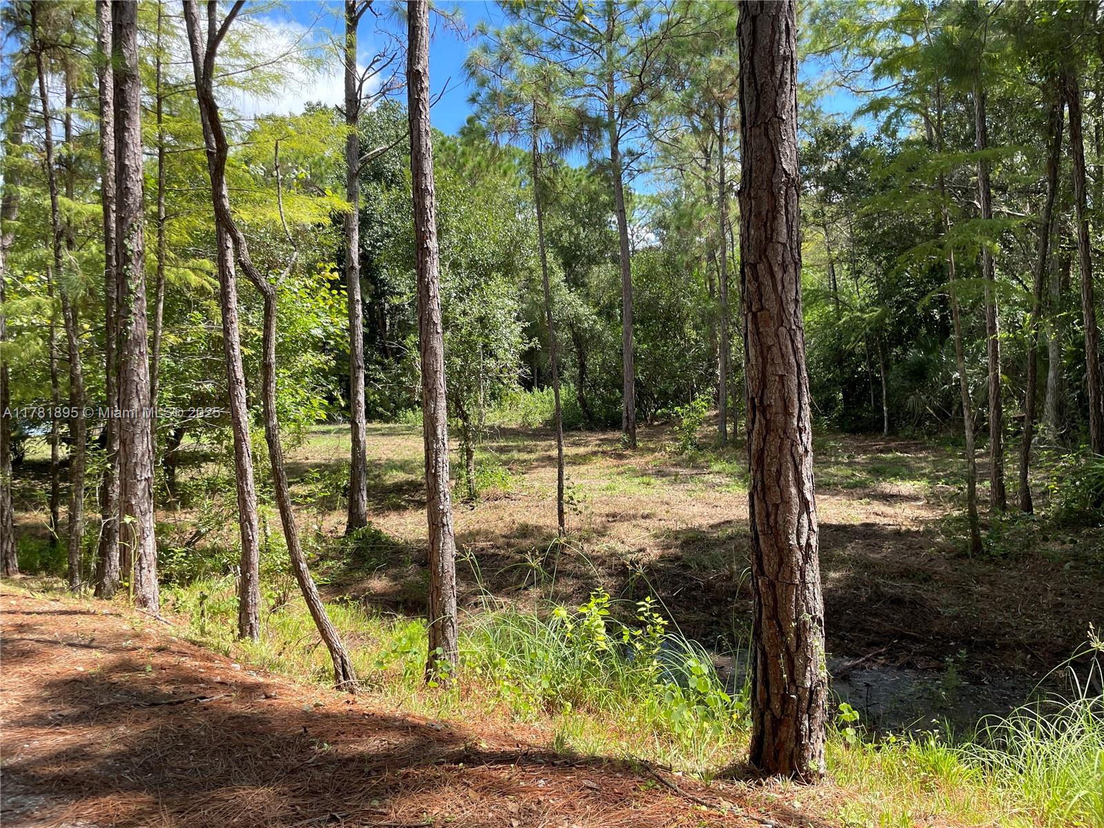 161 Taft Boulevard Clewiston, FL 33440 - Photo 3 of 11 a view of backyard of a house