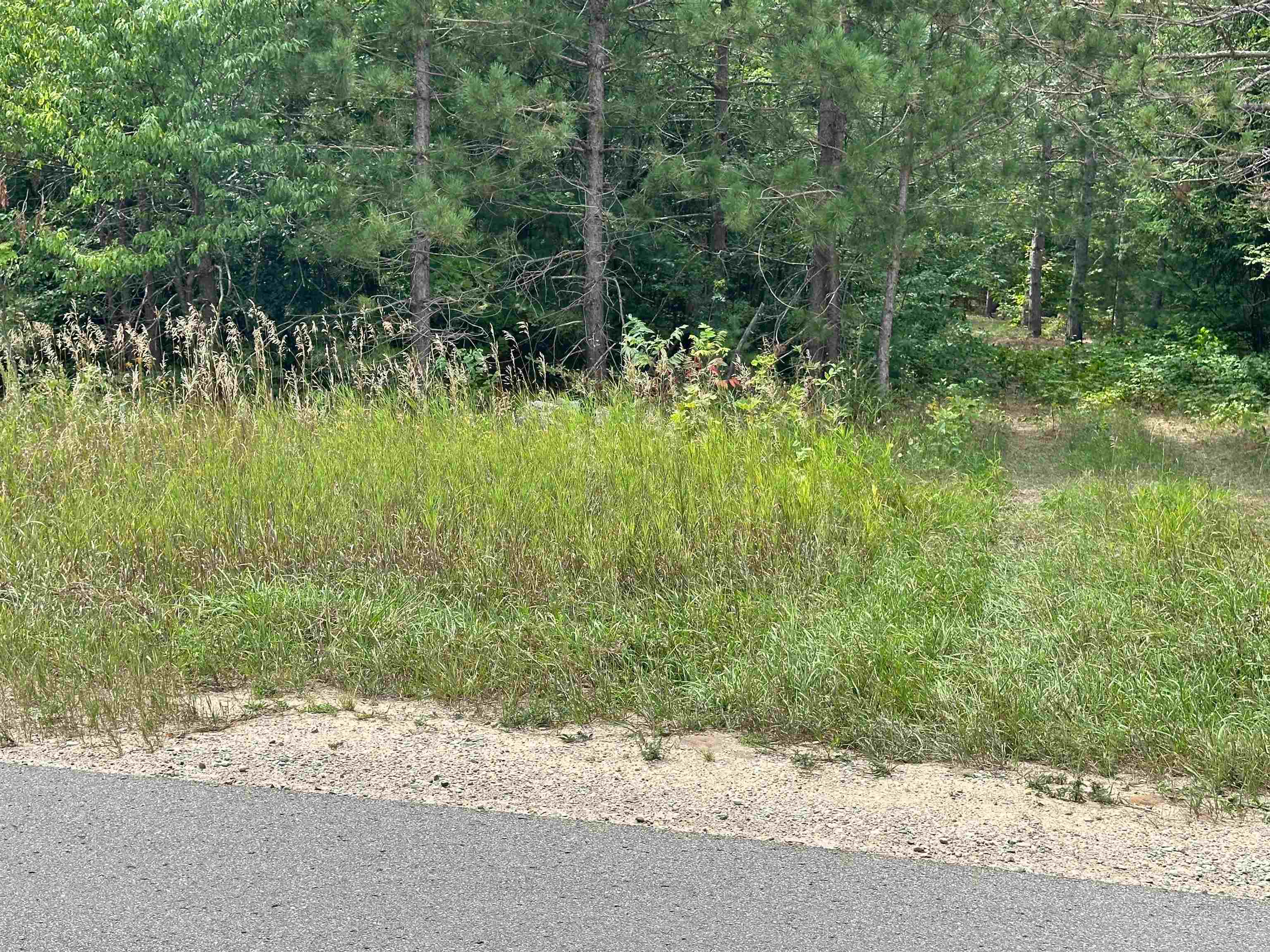 7658 Cedar River Road Mancelona, MI 49659 - Photo 3 of 24 1949521-bcf46b8d-3b64-4412-9913-8c6c19e30baf.JPG