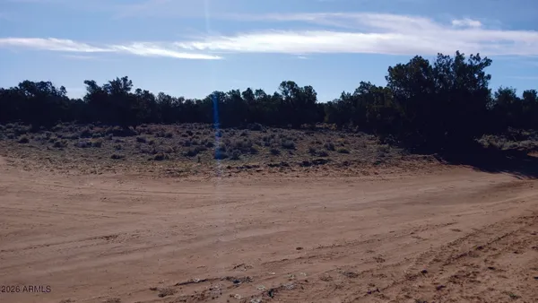 a view of a dry yard with trees in the background