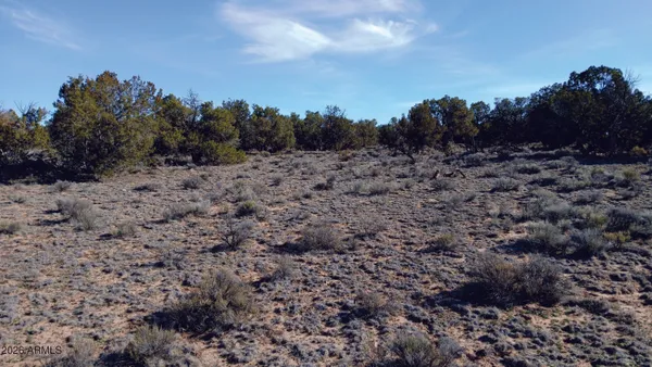 a view of a dry field with trees in the background