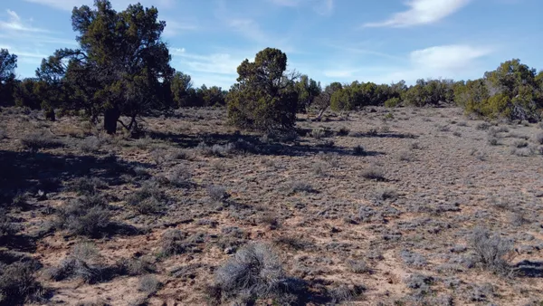 a view of a dry field